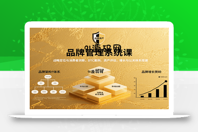 品牌管理系统课：战略定位与消费者洞察，DTC案例、资产评估，增长与公关体系搭建